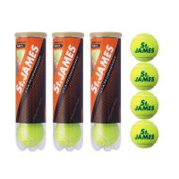 ダンロップ　テニスボール　セントジェームス　ST   1缶　4球入り | tennis ダブル ノット