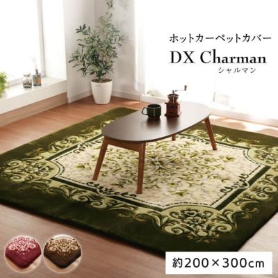 ◼フィスバ　美品高級カーペット　200×300cmサイズ ラグ 200 300 シャギー」の人気商品一覧 | 安い商品を通販サイト