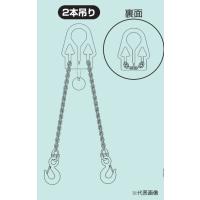 【ポイント10倍】スリーエッチ H.H.H アジャスタブルチェーンスリング ACS0.95-D | 道具屋さんYahoo!店