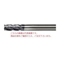 【ポイント10倍】PROCHI (プロチ) 超硬ラジアスE/M 4mm R0.5 PRV-T04M4R0.5 | 道具屋さんYahoo!店