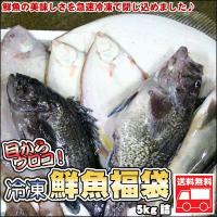 鮮魚を急速冷凍北海道お魚福袋5kg送料無料 