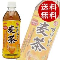 サンガリア すばらしい麦茶 500ml 48本 (麦茶 お茶) 『送料無料』※北海道・沖縄・離島を除く | ドリンクマルシェ