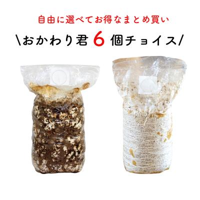 山菜苗（苗の栽培キット）｜苗 | 花、ガーデニング のおすすめ人気商品
