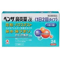 ベンザ鼻炎薬α(1日2回タイプ) 24錠　第(2)類医薬品　セルフメディケーション税制対象　定形外送料無料 【A】 | くすりのポニー