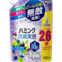 花王 ハミング消臭実感  アクアティックフルーツの香り 詰替 １０００ｍｌ×6個(1ケース） | ドラッグ ヒーロー ヤフー店