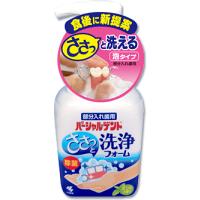 小林製薬 パーシャルデント洗浄フォーム 250ml 【北海道・沖縄は別途送料必要】 | ドラッグピュア ヤフー店