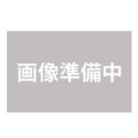 アラジン グラファイトグリル＆トースター 4枚焼き AGT-G13A(G) | ディーショップワン Yahoo!店