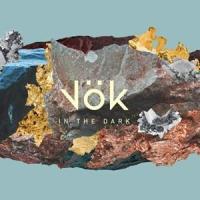 輸入盤 VOK / IN THE DARK [LP] | ぐるぐる王国DS ヤフー店