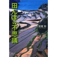 田んぼの不思議 | ぐるぐる王国DS ヤフー店