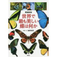 世界で最も美しい蝶は何か | ぐるぐる王国DS ヤフー店