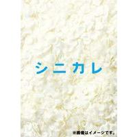 シニカレ完全版 DVD-BOX [DVD] | ぐるぐる王国DS ヤフー店