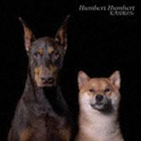 ハンバートハンバート / 丈夫な私たち（通常盤） [CD] | ぐるぐる王国DS ヤフー店