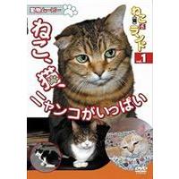 動物ムービー DVDシリーズねこ（猫）ざ ランド 1（ねこ、猫、ニャンコがいっぱい） [DVD] | ぐるぐる王国DS ヤフー店