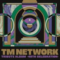 TM NETWORK TRIBUTE ALBUM -40th CELEBRATION- [CD] | ぐるぐる王国DS ヤフー店