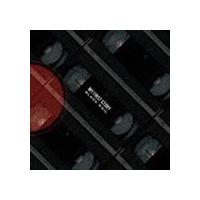 MY FIRST STORY / Black Rail [CD] | ぐるぐる王国DS ヤフー店