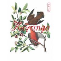 コトリンゴ／小鳥一会「小鳥観察 kotringo Best」発売記念ライブ [DVD] | ぐるぐる王国DS ヤフー店
