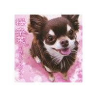 桜／卒業 オルゴール・コレクション [CD] | ぐるぐる王国DS ヤフー店