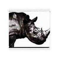 mr.children 1992（パッケージ種類：通常版）のおすすめ人気商品一覧