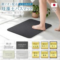 TRAD JAPAN バスマット 日本製 銀イオン配合 珪藻土 マット ソフトタイプ 60×40cm 速乾 洗える おしゃれ 抗菌 滑り止め