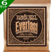 6セット Ernie Ball #2544 Everlast Coated Medium 013-056 Phosphor Bronze アーニーボール コーティング弦 アコギ弦 | ギターパーツの店・ダブルトラブル