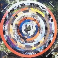 Termination / 9mm Parabellum Bullet CD 邦楽 | ディスクプラス