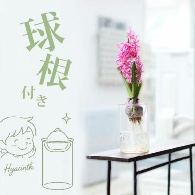 ヒヤシンス 花瓶のおすすめ人気商品一覧 通販 - Yahoo!ショッピング