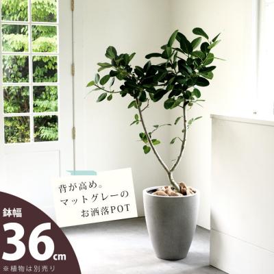 え332 植木鉢 9号 植木鉢 おしゃれ 室内 9号（植木鉢）｜鉢