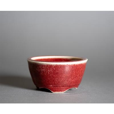 e-盆栽 ヤフー店 - ミニ盆栽鉢 8cm以下｜Yahoo!ショッピング
