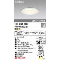 オーデリック エクステリアライト OD261802 軒下用ダウンライト LED（電球色） | オーデリック照明器具 コネクト