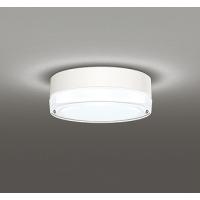 オーデリック 軒下用シーリングライト LED（昼白色） OG254960ND | オーデリック照明器具 コネクト