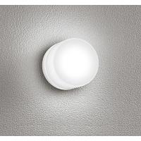 オーデリック 業務用浴室灯 ホワイト LED（昼光色） OG264001NR | オーデリック照明器具 コネクト