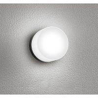 オーデリック 業務用浴室灯 ブラック LED（昼光色） OG264002NR | オーデリック照明器具 コネクト