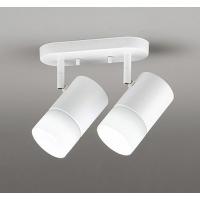 オーデリック スポットライト ホワイト 2灯 LED フルカラー調色 調光 Bluetooth 拡散 OS256673RG | オーデリック照明器具 コネクト