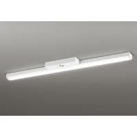 オーデリック LED-LINE 誘導灯 非常用ベースライト 40形 トラフ型 LED（温白色） XR506008R1D | オーデリック照明器具 コネクト