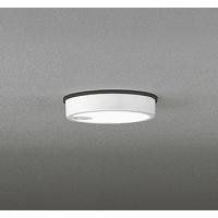 軒下用シーリングライト LED（昼白色） センサー付 オーデリック OG254521 | コネクト Yahoo!店