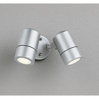 OG254565LR オーデリック 屋外用スポットライト 2灯 シルバー LED（電球色） 広角 | コネクト Yahoo!店