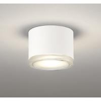 OR037037 オーデリック 非常灯・誘導灯 ホワイト LED（電球色） | コネクト Yahoo!店