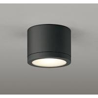 OR037066 オーデリック 非常灯・誘導灯 ブラック LED（電球色） | コネクト Yahoo!店