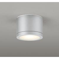 OR037068 オーデリック 非常灯・誘導灯 シルバー LED（電球色） | コネクト Yahoo!店