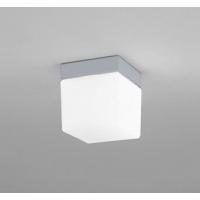 OW009414NR オーデリック 浴室灯 塩害地向け仕様 シルバー LED(昼白色) (OW009414ND1 代替品) | コネクト Yahoo!店