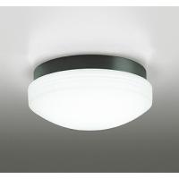 OW269016NR オーデリック 業務用浴室灯 ブラック LED（昼白色） | コネクト Yahoo!店