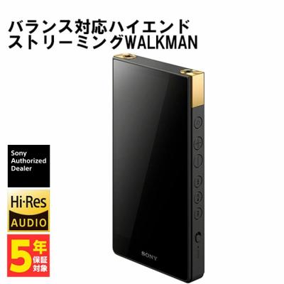 ポータブルプレーヤー Sony WALK MAN ポータブルプレーヤー SONY NW-ZX1 WALKMAN NW-ZX1 | ポータブル