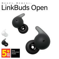 在庫限り) SONY LinkBuds Open WF-L910 ソニー 完全ワイヤレスイヤホン