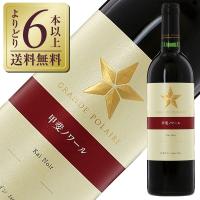 赤ワイン 国産 スタンダード シリーズ グランポレール 甲斐ノワール 2020 750ml 日本ワイン | 酒類の総合専門店 フェリシティー
