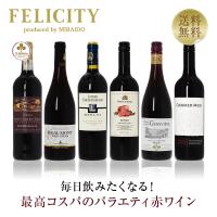 200円OFFクーポン 赤ワインセット 毎日飲みたい！最高コスパワイン バラエティ 赤ワイン 6本セット 第19弾 750ml×6 送料無料 包装不可 飲み比べ