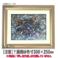 押し花額 36号クリアモダン ガラスフレーム Www Ziakkas Group Gr