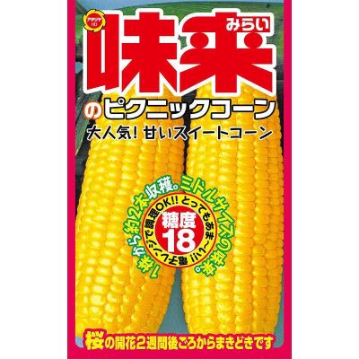 ピクニックコーン 種のおすすめ人気商品一覧 通販 - Yahoo