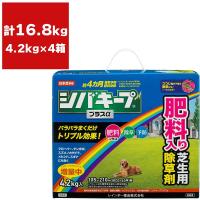 除草剤 シバキーププラスα 4.2kg×4箱 レインボー薬品 除草剤 顆粒 除草剤 強力 除草剤 芝生 除草剤 粒剤 除草剤 シバキープ 除草剤 日本芝 除草剤 雑草 対策 | e-hanas(イーハナス)Yahoo!店
