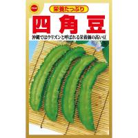 四角豆 アタリヤ農園 栄養豊富な夏野菜 沖縄ではウリズンと呼ばれる 栄養価の高い豆 野菜種 M | e-hanas(イーハナス)Yahoo!店