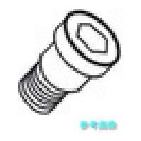 タンガロイ DTS5-3.5 部品 締め付けねじ 【1個】 | イーキカイ ヤフーショッピング店